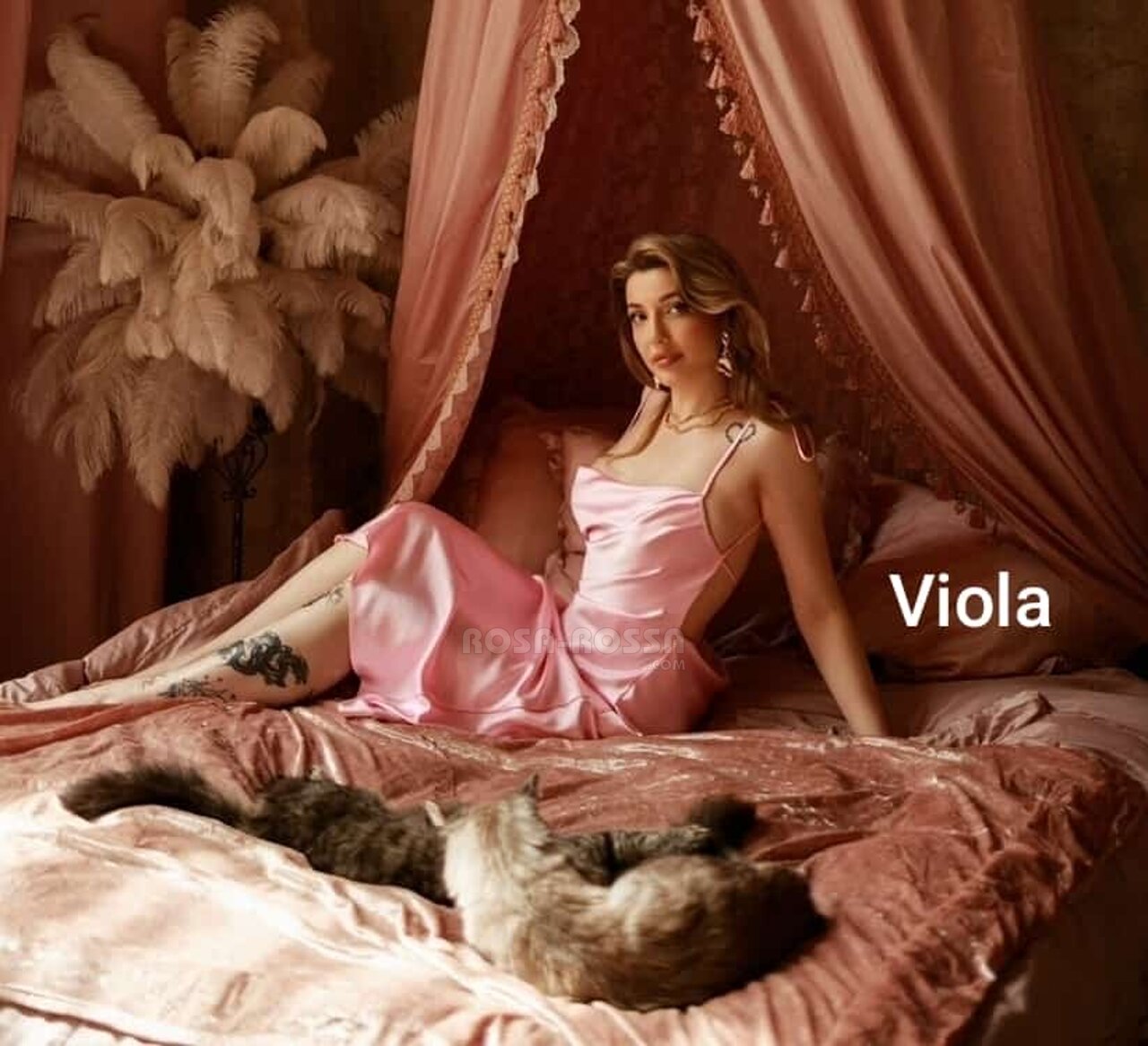 Viola profile photo