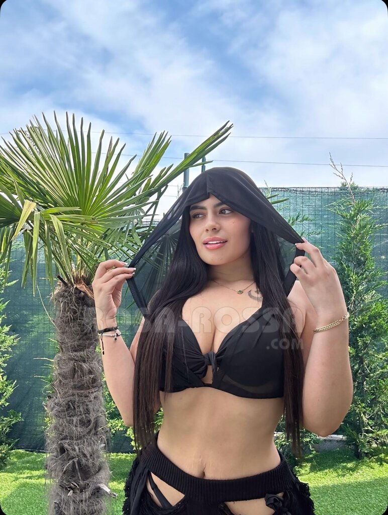 STEFANY 4