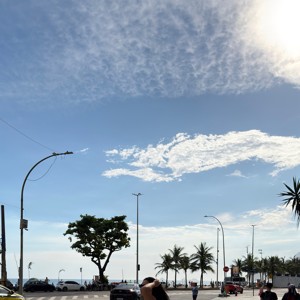 TAINAR 29
